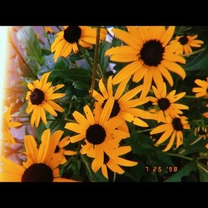 Meet your Posher, Julia